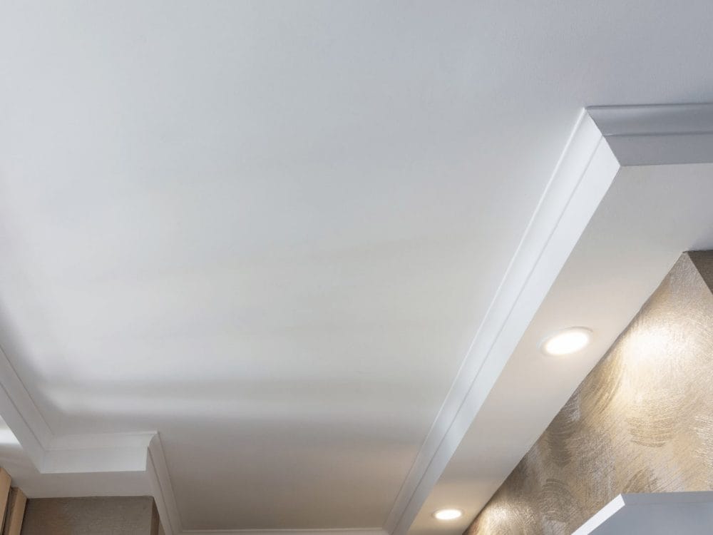 melbourne's mould removal