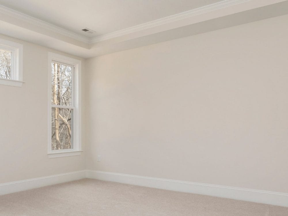 mould removal in Melbourne